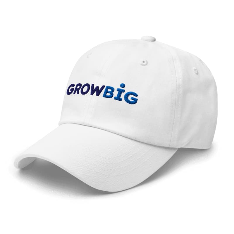 Classic Dad Hat 04